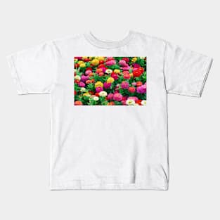 Zinnia elegans 'Dreamland Mix' (C013/1670) Kids T-Shirt